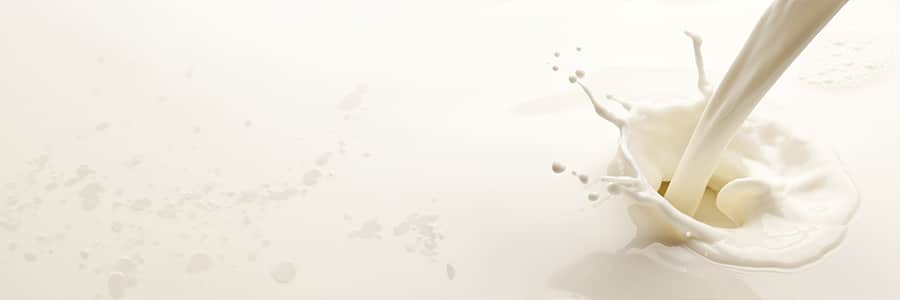 20260924_milk-ingredients_900x300px
